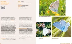 Garten & Natur|Ratgeber * Löwenzahn Verlag Wo die wilden Nützlinge wohnen