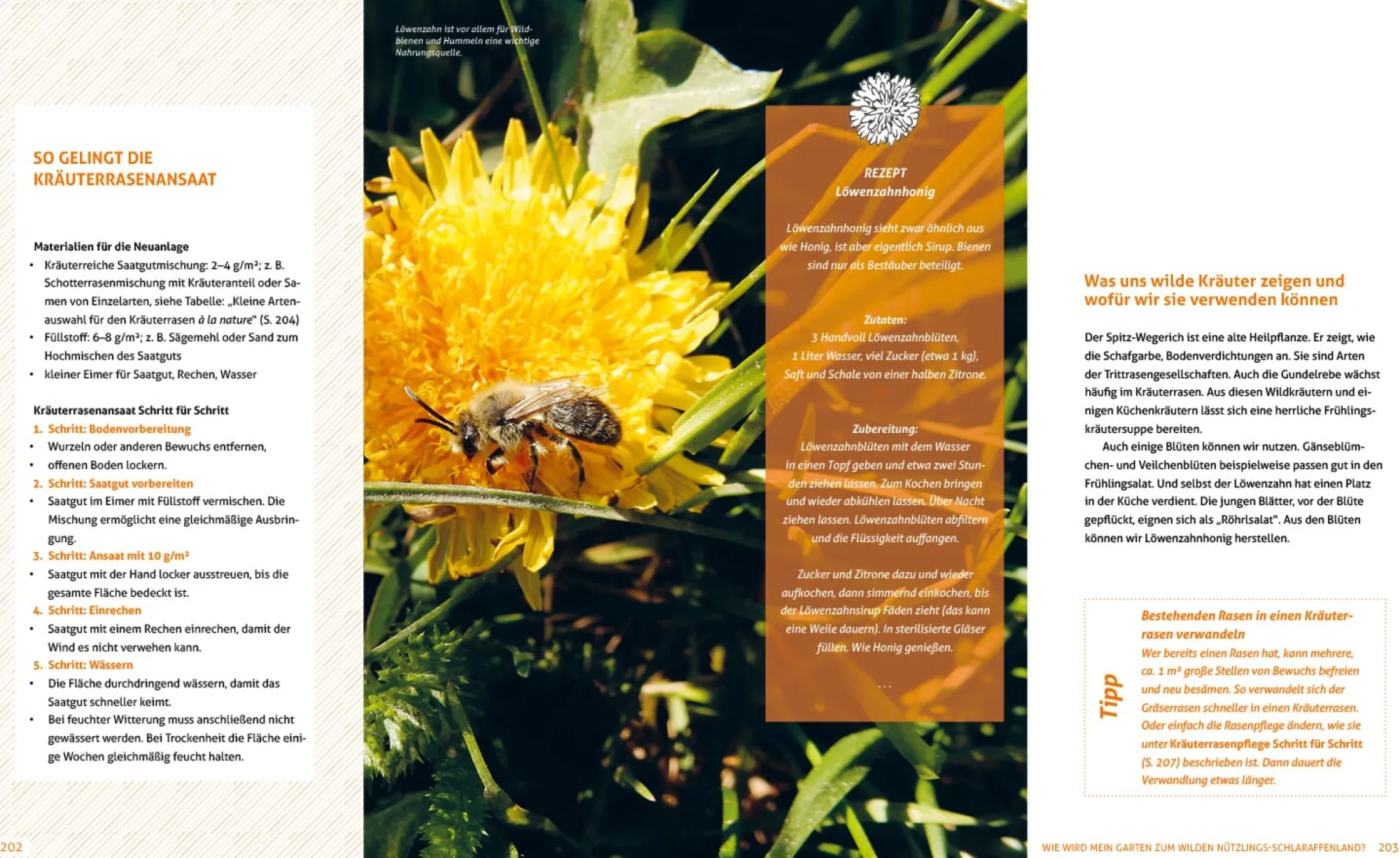 Garten & Natur|Ratgeber * Löwenzahn Verlag Wo die wilden Nützlinge wohnen
