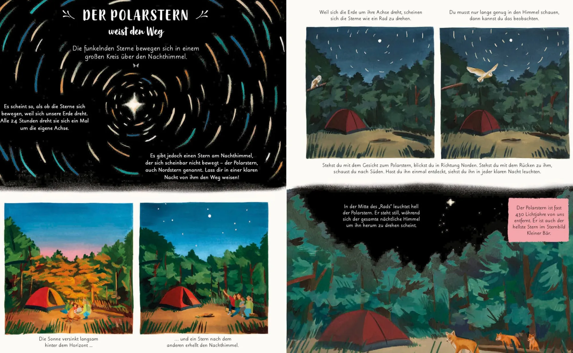 Kinderbücher|Ratgeber * Prestel Verlag Wunder der Natur